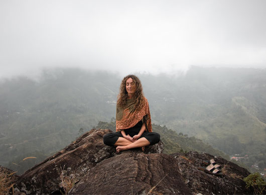 Medical/Wellness Tourism